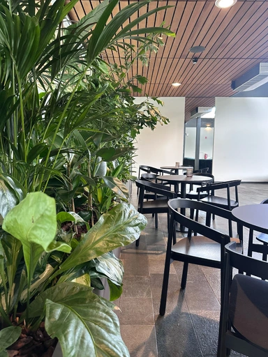 pro.161.03_strijkers_studio_pc_uitvaart_westgaarde.webp