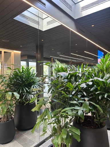 pro.161.09_strijkers_studio_pc_uitvaart_westgaarde.webp