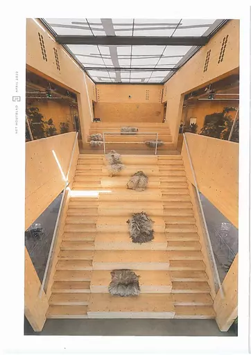 pub.363.04doepelstrijkersfoodforumhethoutblad202.webp